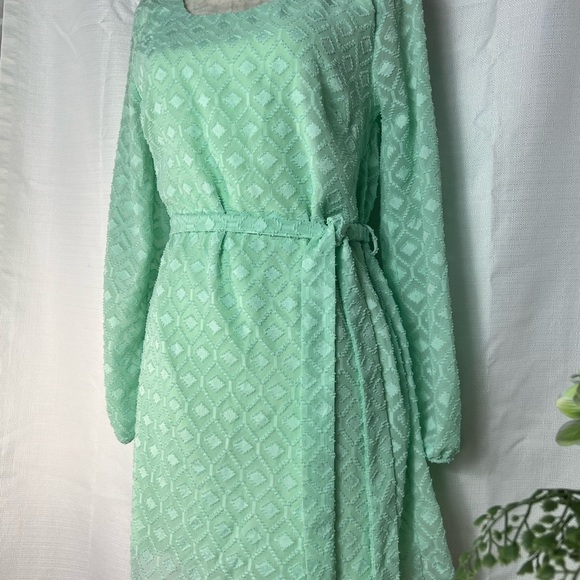 ANTHROPOLOGY BIRDCAGE BELTED SHIFT DRESS SM MINT TEXTURED FABRIC SHEER SLEEVES - Picture 2 of 13